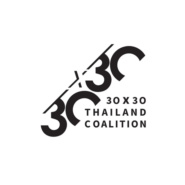 CSO 1